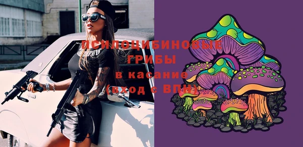 гидра Алзамай