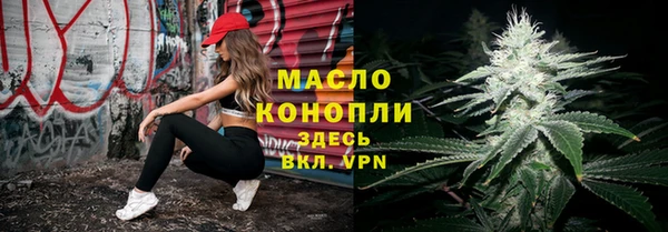 тгк Абаза