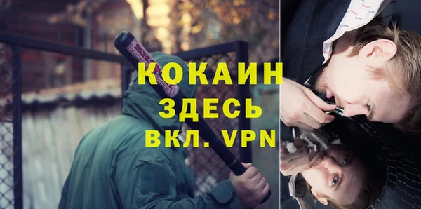 дживик Алексин