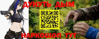 индика Троицк