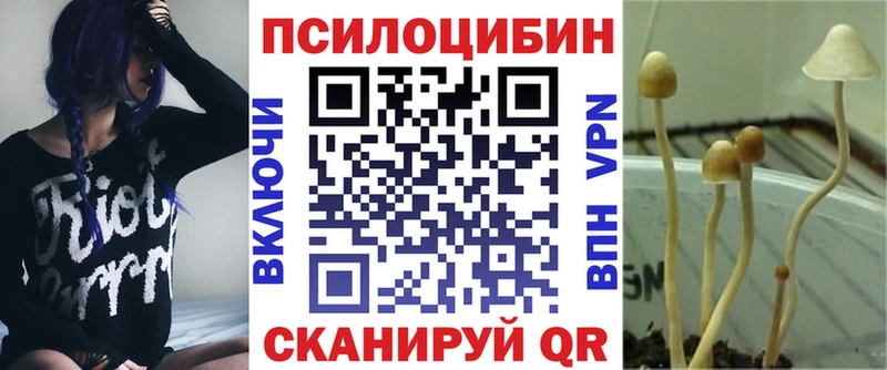 купить наркотик  Советский  Галлюциногенные грибы Cubensis 